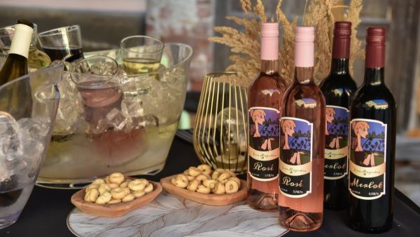 Festival sira & vina 2026. oduševio tisuće posjetitelja u Valpovu!