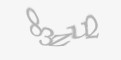 Sigurnosni kod